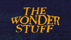 The Wonder Stuff at O2 Ritz Manchester in Manchester